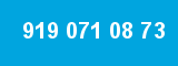 919 071 08 73 919 071 08 73